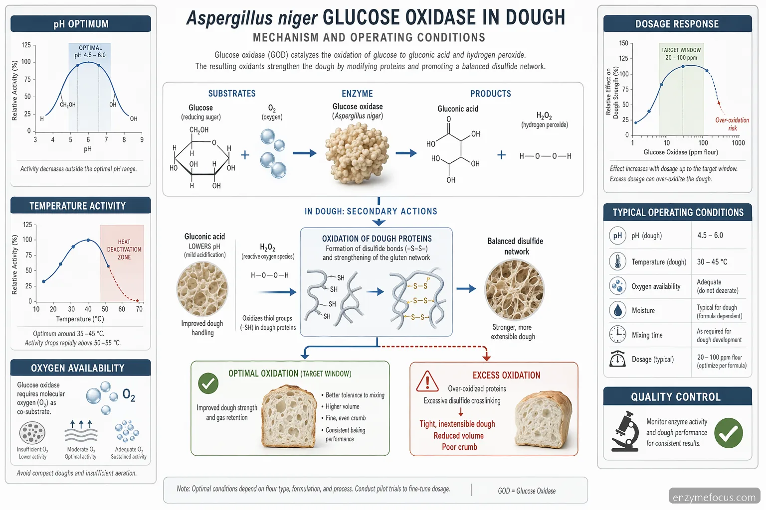 aspergillus niger glucose oxidase baking mechanism diagram mapping dough oxidation against pH, heat, oxygen, and dose