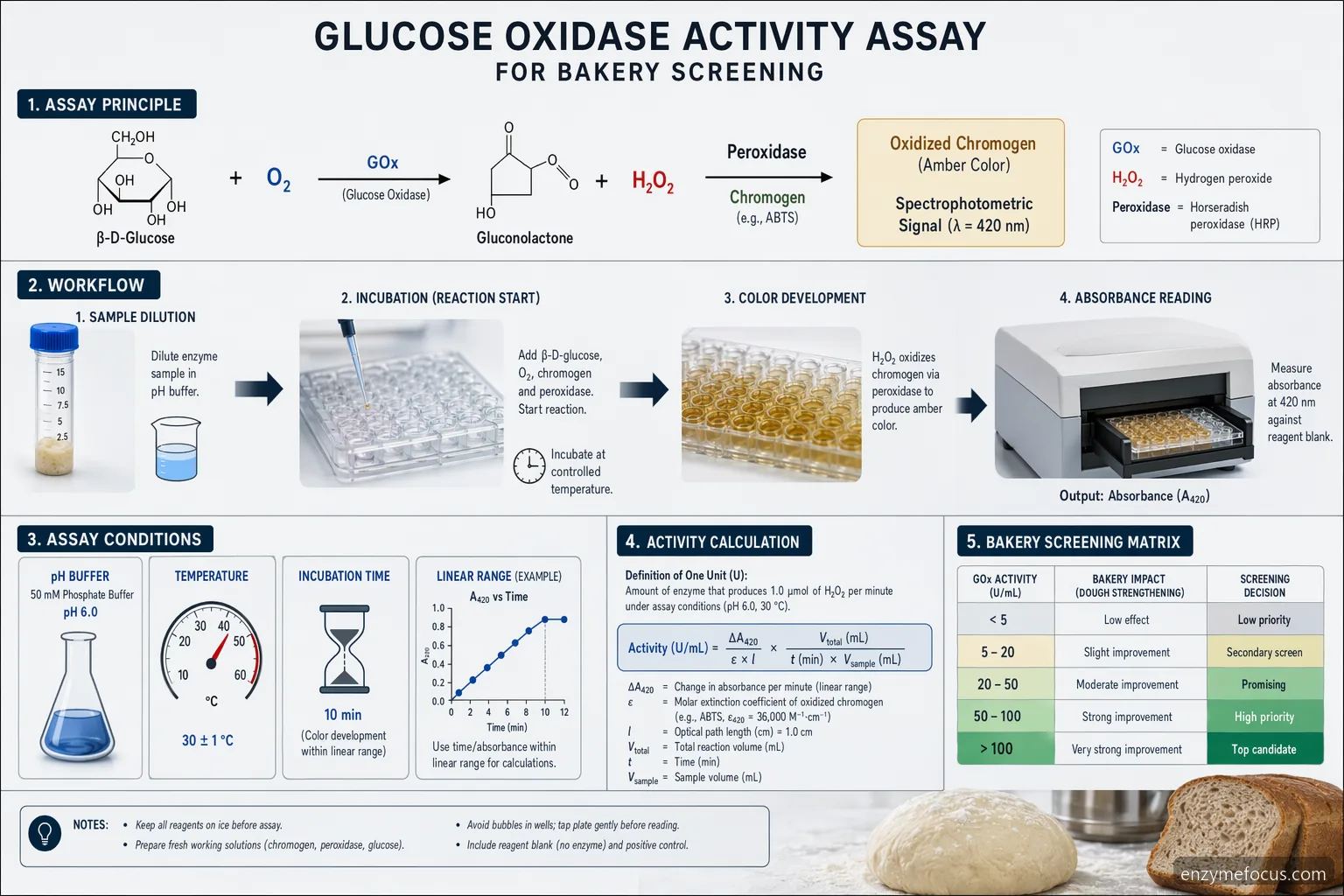 glucose oxidase activity assay: Process Guide for Baking schematic of glucose reaction, peroxide color readout, pH and temperature checks